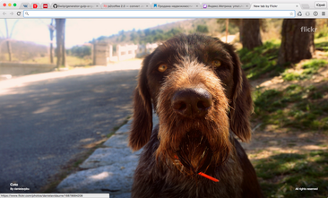 Расширение для Google Chrome — Flickr Tab